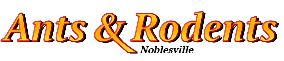 Noblesville Ant Exterminator & Rodent Control Company Logo